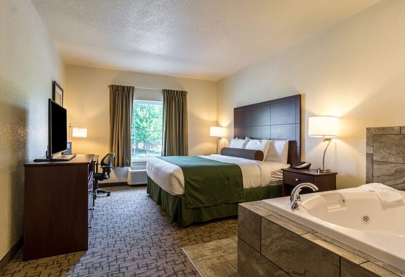 Люкс, Cobblestone Hotel & Suites   Erie