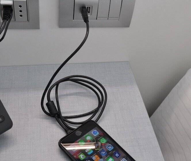 Семейный Номер, Vischi