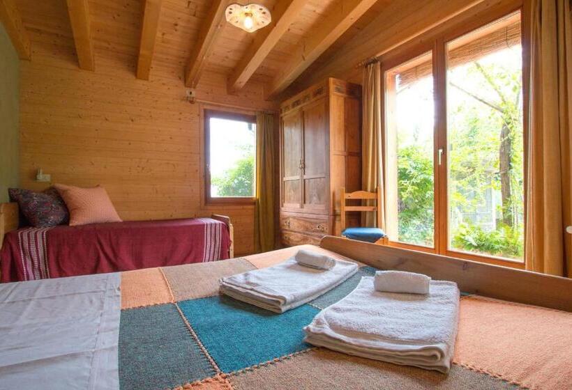 غرفة قياسية لذوى الاحتياجات الخاصة, Bioagriturismo Vegan Campo Di Cielo