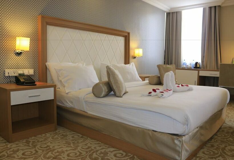 اتاق استاندارد یک نفره, Momona