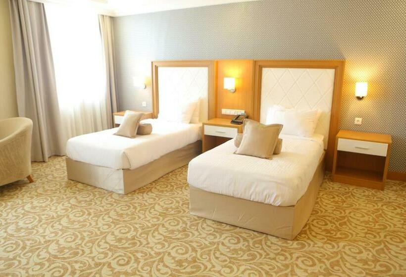 اتاق استاندارد, Momona