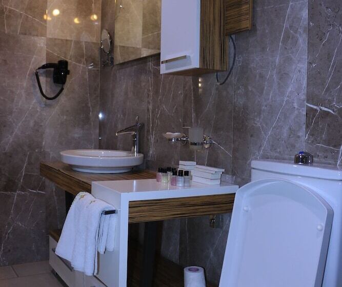 اتاق استاندارد با چشمانداز شهر, Momona