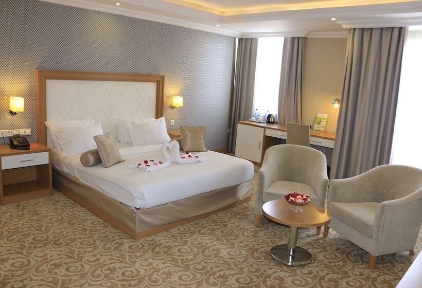 اتاق استاندارد با چشمانداز شهر, Momona