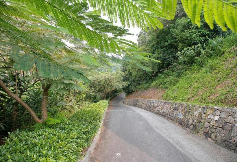 سوییت جونیور با بالکن, Victoria Cliff Hotel & Resort, Kawthaung