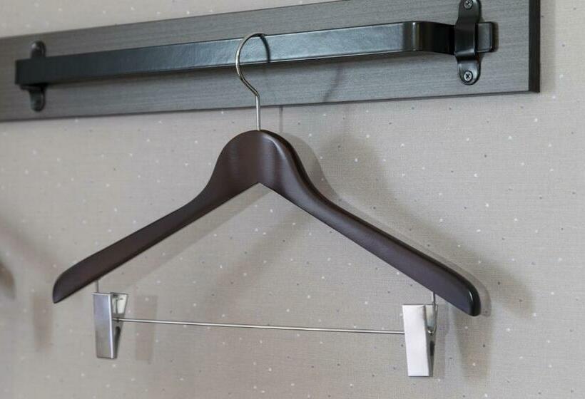 חדר סטנדרט יחיד, Green Rich Hotel Hiroshima Shinkansenguchi