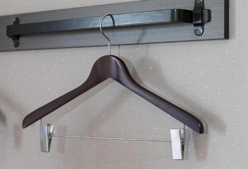 חדר סטנדרט, Green Rich Hotel Hiroshima Shinkansenguchi