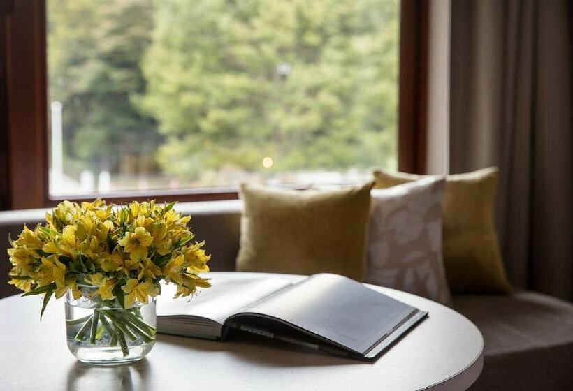 Номер Superior, Karuizawa Marriott