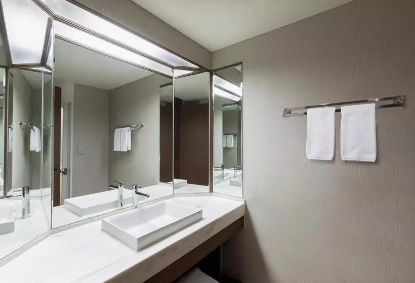 Standard Room with Views