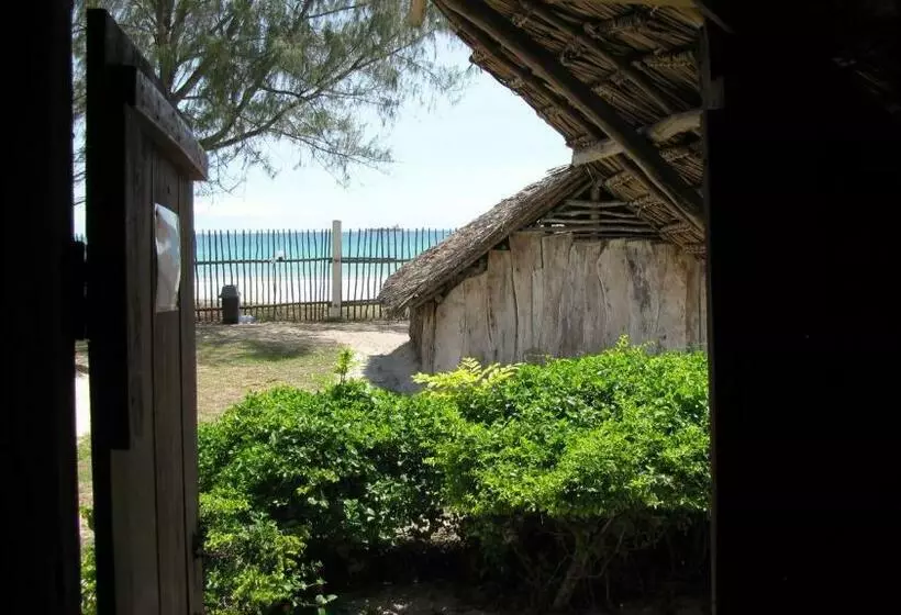 اتاق استاندارد با چشم‌انداز دریا, Kipepeo Beach And Village