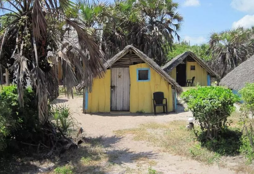 اتاق استاندارد با چشم‌انداز دریا, Kipepeo Beach And Village
