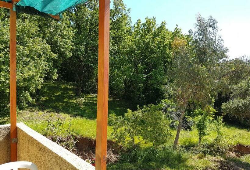 Студия Стандарт, A Casa Di L'alivu