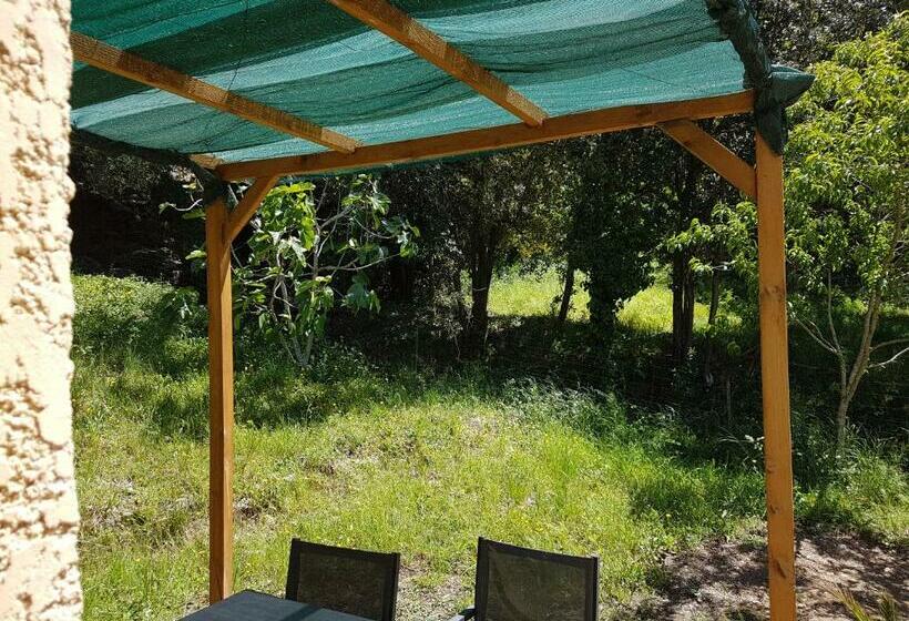 Номер Стандарт, A Casa Di L'alivu