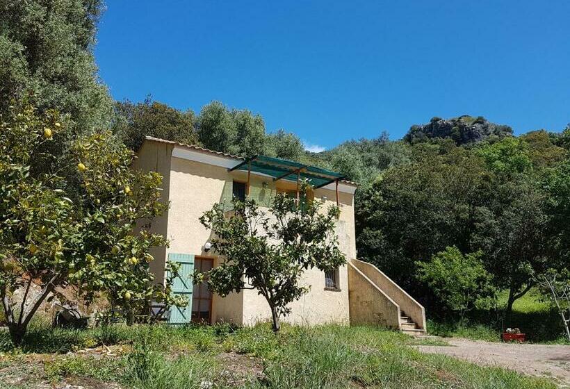 Номер Стандарт, A Casa Di L'alivu