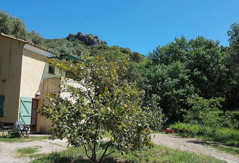 Номер Стандарт, A Casa Di L'alivu