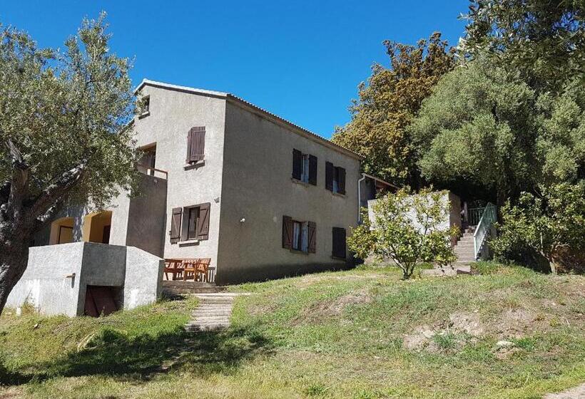 Студия Стандарт, A Casa Di L'alivu