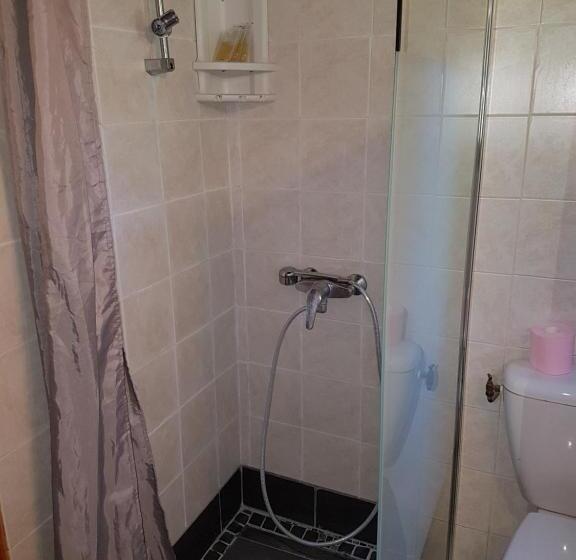 Студия Стандарт, A Casa Di L'alivu