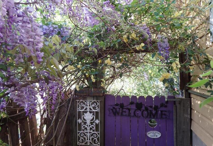 מיטת קינג בסוויטה, Bowral Road Art Gallery Bed And Breakfast