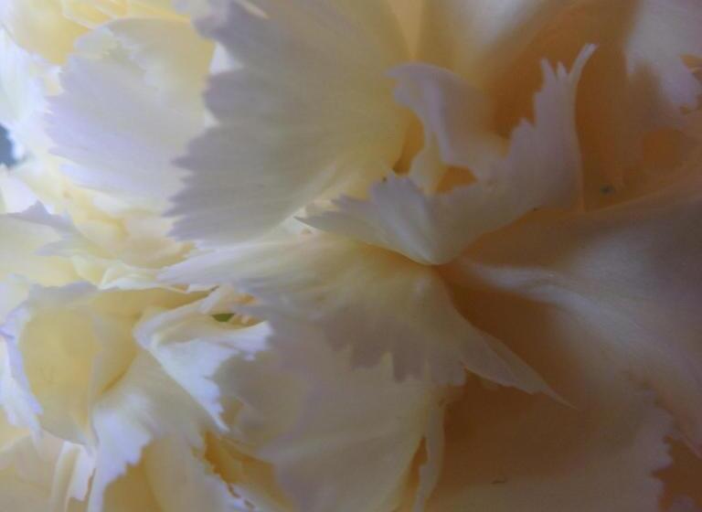 מיטת קינג בסוויטה, Bowral Road Art Gallery Bed And Breakfast