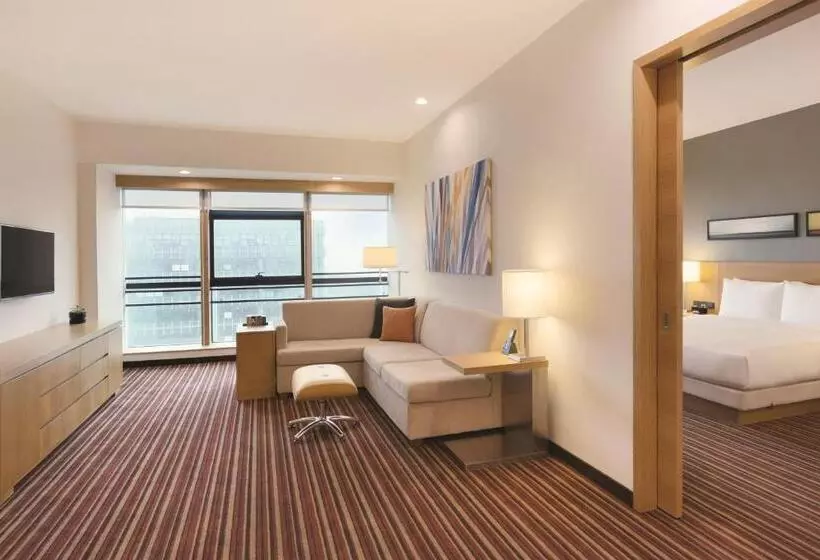 سوئیت با تخت بزرگ, Hyatt Place Shenzhen Airport