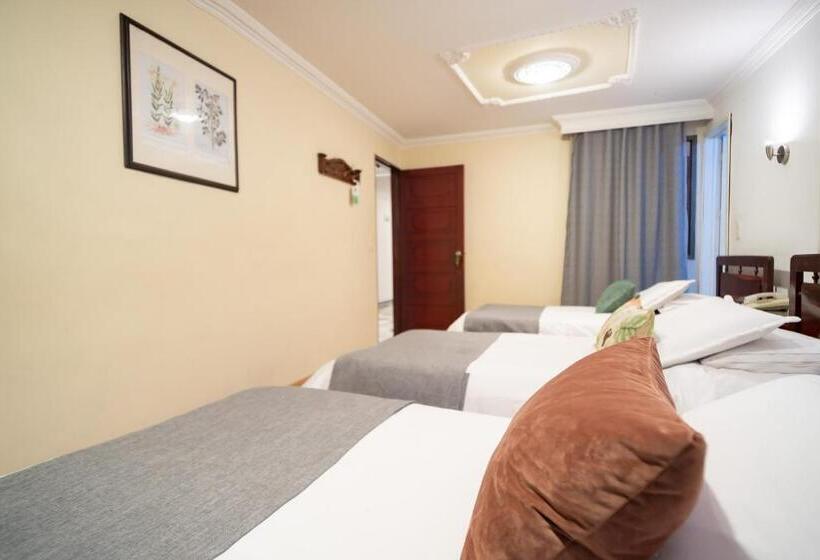 Номер Стандарт Трехместный, Virrey Central