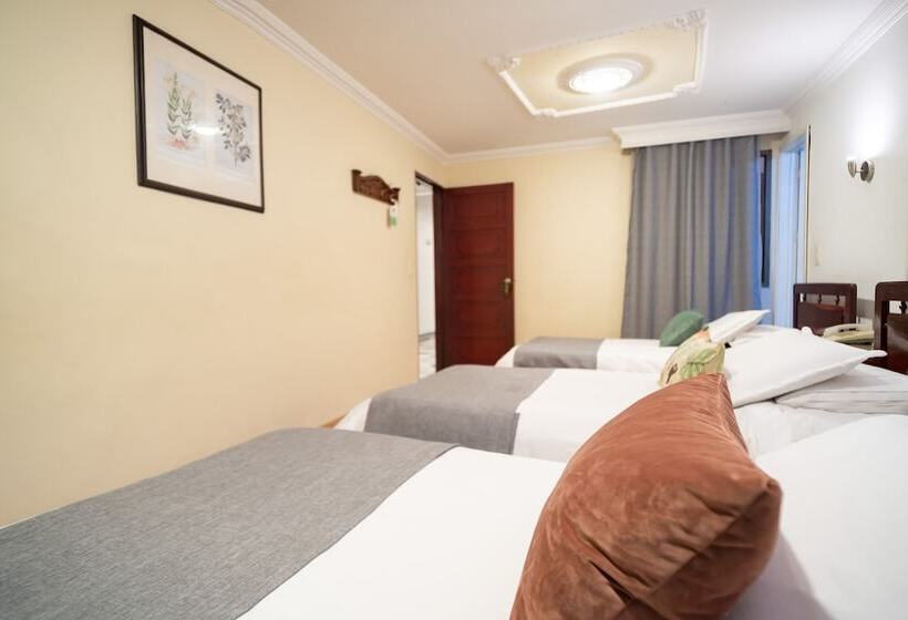 Номер Стандарт Трехместный, Virrey Central