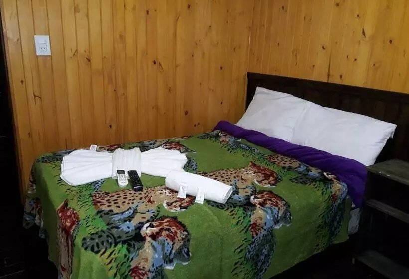 スタンダードルーム, Petit Hotel Caraguata