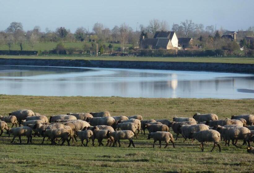 חדר בסיסי, Les Bruyères Du Mont