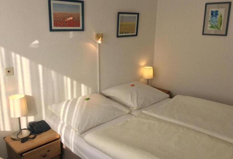 اتاق اکونومی, Del Sol