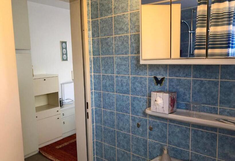 اتاق اکونومی یک تخته, Del Sol