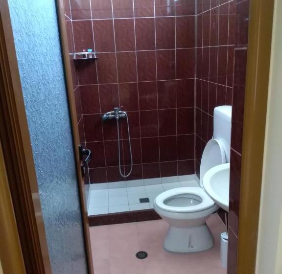 اتاق اکونومی یک تخته, Gjeli