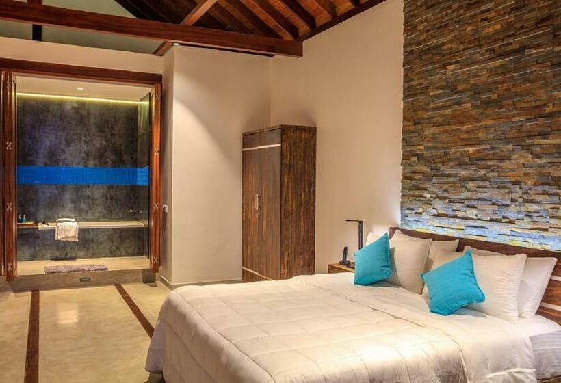 スイート, R Degrees