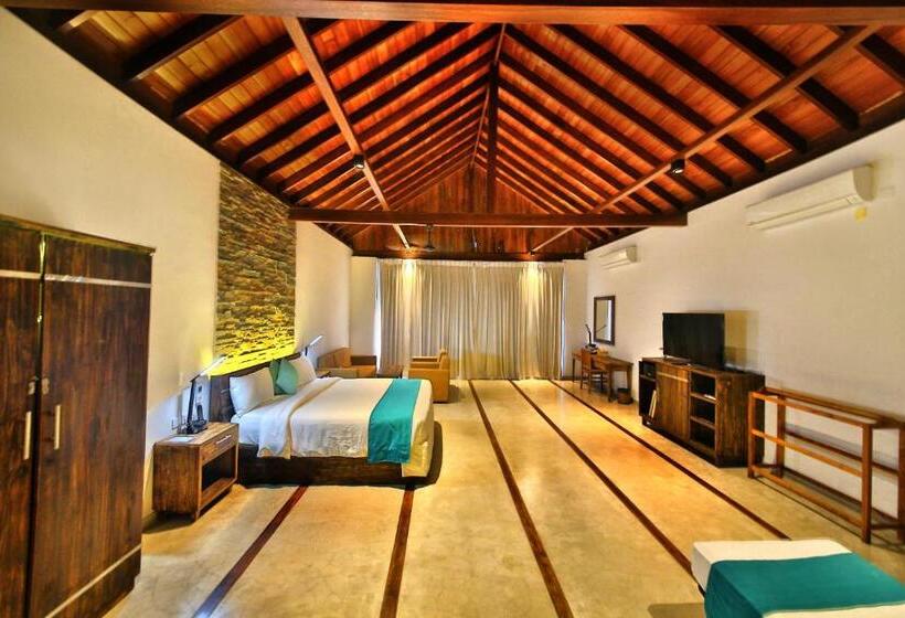 スイート, R Degrees