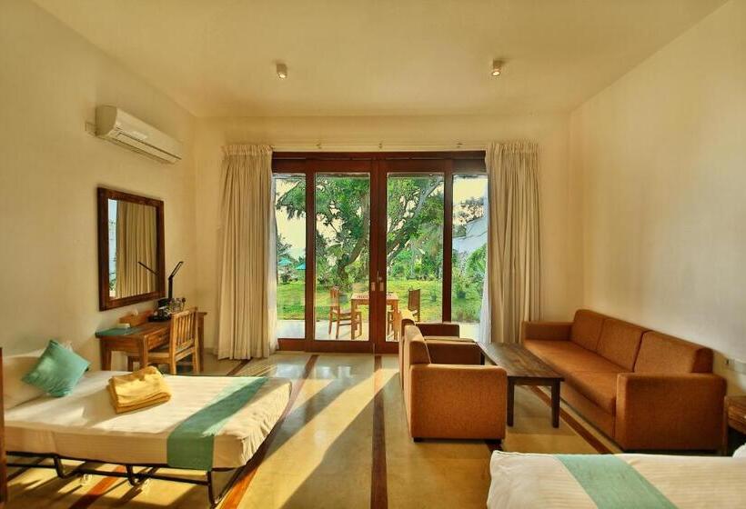 デラックスルーム, R Degrees