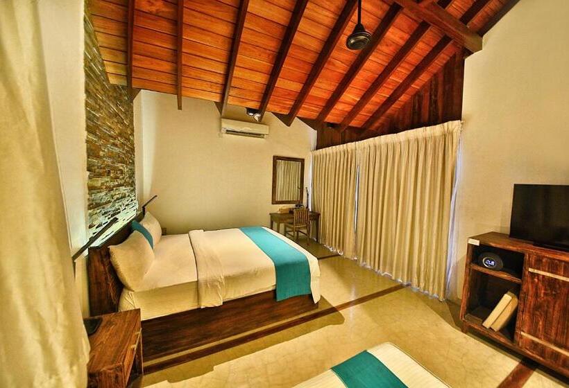 デラックスルーム, R Degrees