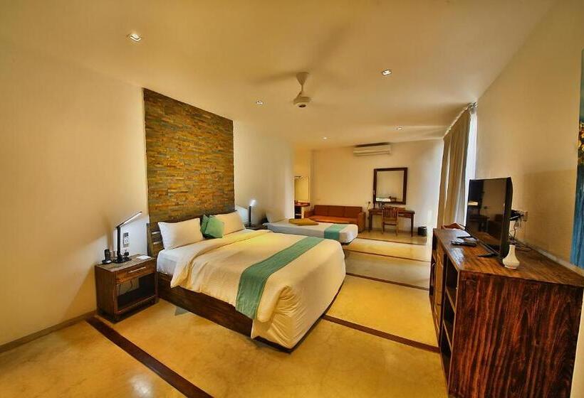 デラックスルーム, R Degrees