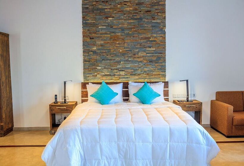 デラックスルーム, R Degrees