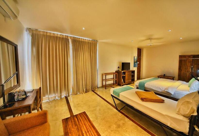 デラックスルーム, R Degrees