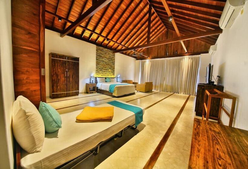 スイート, R Degrees