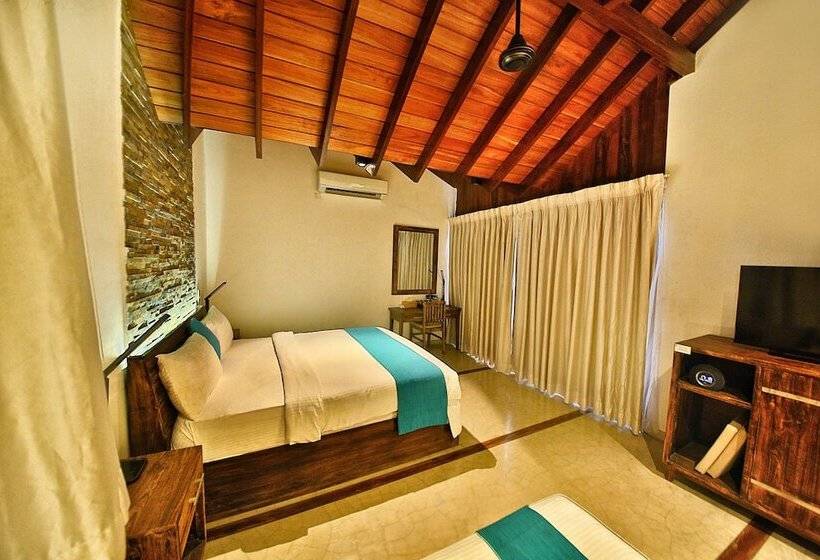 デラックスルーム, R Degrees