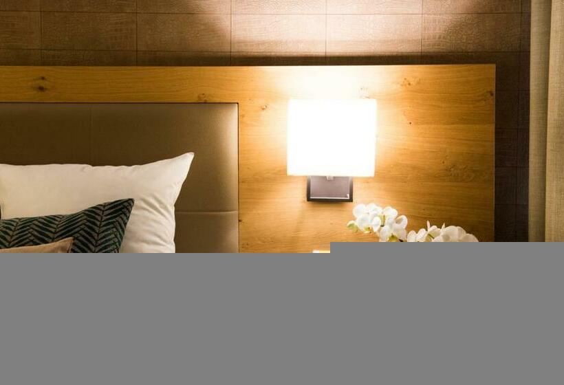 اتاق سوپریور, Le Lodge Brit Hotel Strasbourg Zenith