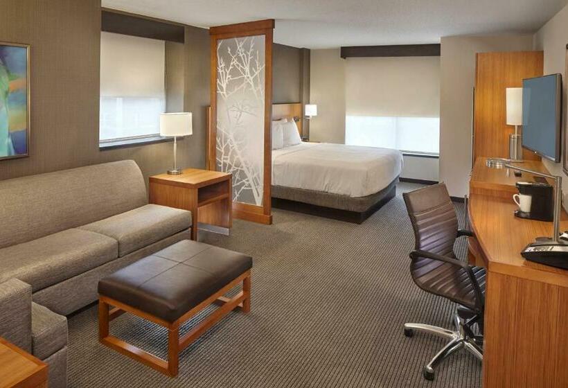 اتاق استاندارد با تخت بزرگ, Hyatt Place State College