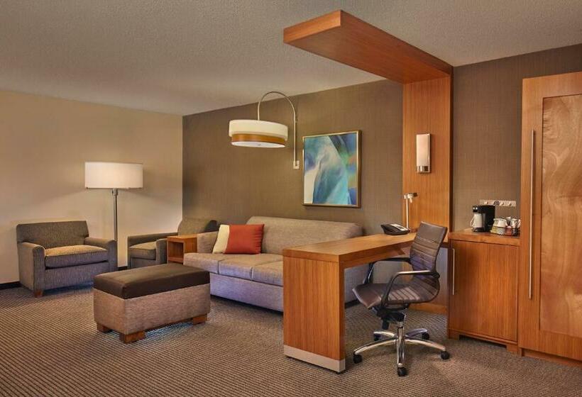اتاق استاندارد با تخت بزرگ, Hyatt Place State College