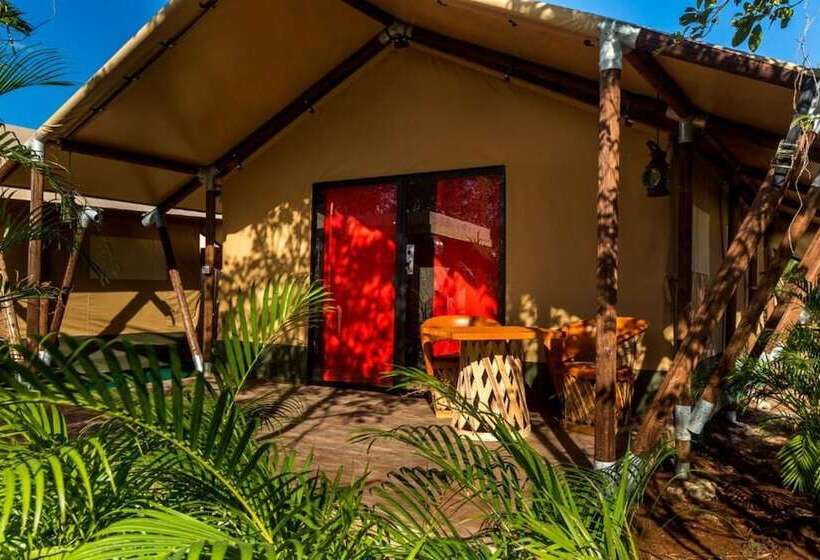 Standard Tent, Serenity Authentic Glamping Tulum