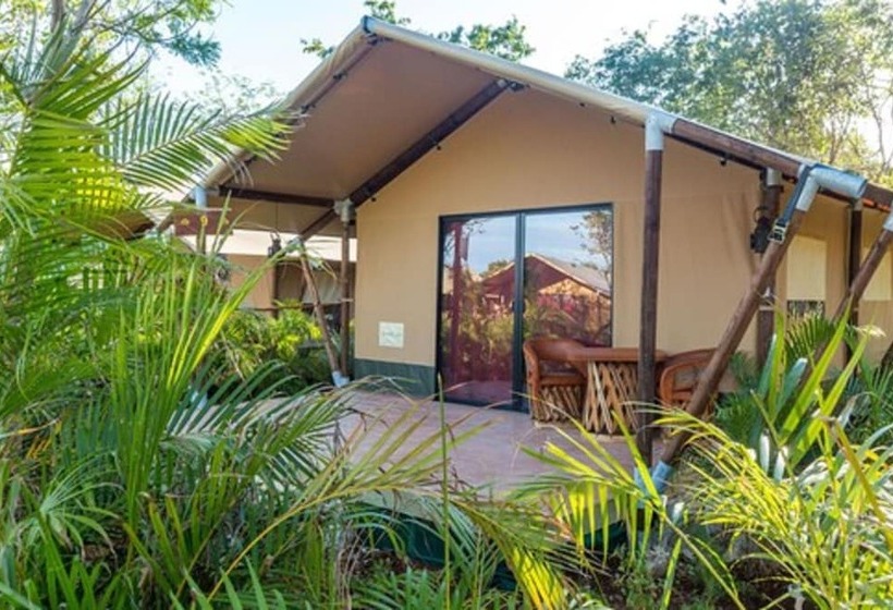 Standard Tent, Serenity Authentic Glamping Tulum