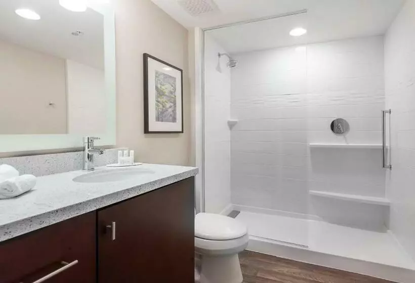 キングサイドベッドのスタンダードワンルーム, Towneplace Suites By Marriott Austin Parmer/tech Ridge