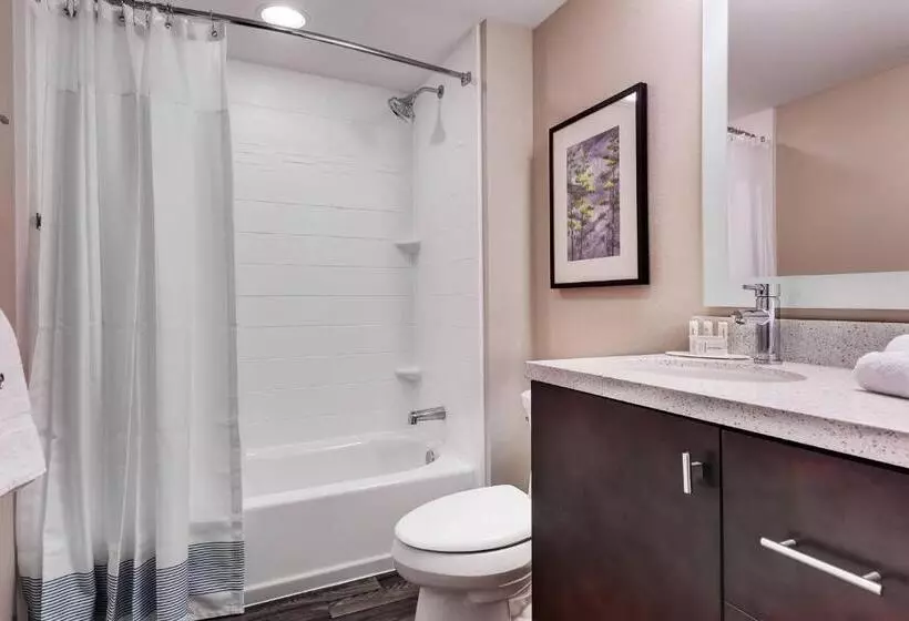 クイーンサイズベッドのスイートルーム, Towneplace Suites By Marriott Austin Parmer/tech Ridge