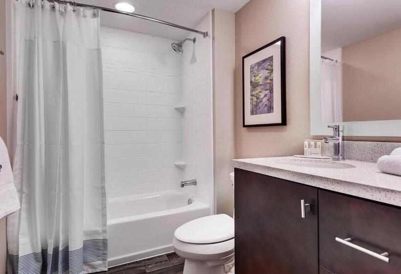 身障者適用スイートルーム, Towneplace Suites By Marriott Austin Parmer/tech Ridge