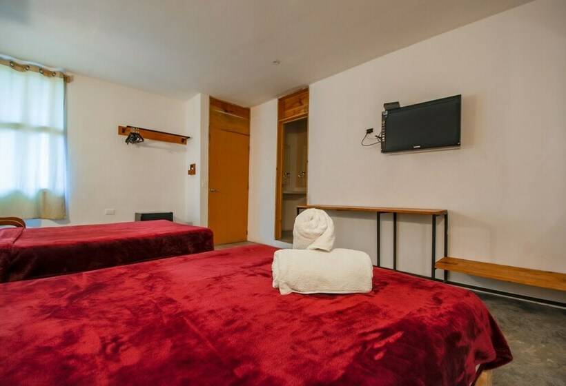 2ダブルベッドのスタンダードルーム, Vsi