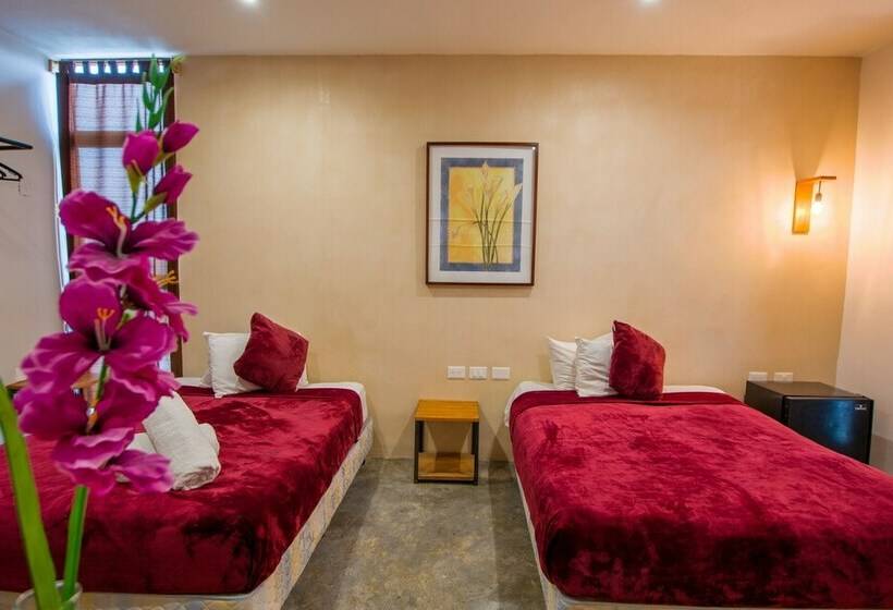 2ダブルベッドのスタンダードルーム, Vsi