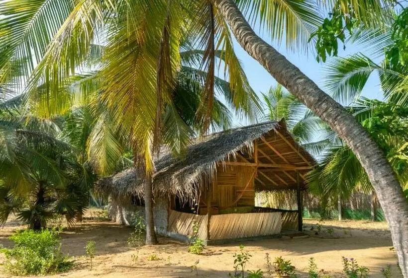 ガーデンビューファミリールーム, Valampuri Kite Resort